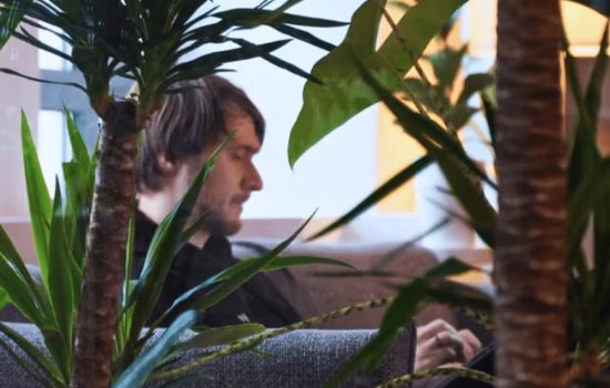 developpeur-web-Paris-WebVivo